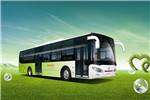 亞星JS6127GHBEV公交車(chē)（純電動(dòng)20-46座）