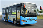 東風(fēng)旅行車(chē)DFA6800EBEV6公交車(chē)（純電動(dòng)14-29座）