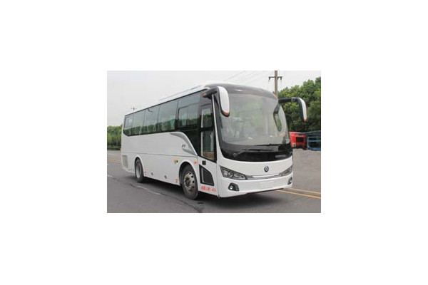 楚風(fēng)HQG6901F2D5客車（柴油國(guó)五24-40座）