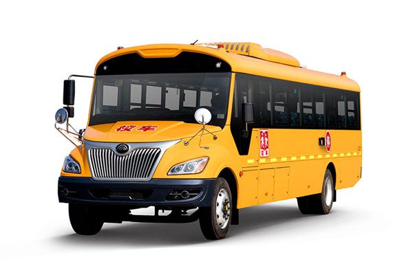 宇通ZK6995DX61中小學生專用校車（柴油國六24-49座）